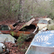 forgotten European and Japanese economy cars mingle with heaps of Detroit iron